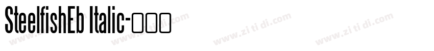 SteelfishEb Italic字体转换